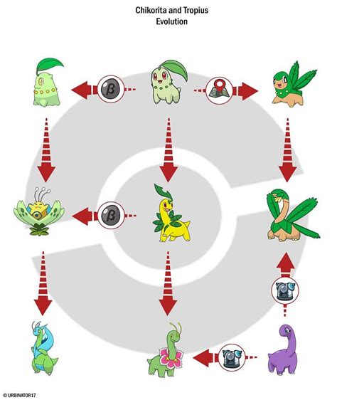 what level does chikorita evolve.